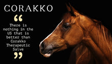 Load image into Gallery viewer, SPCA Corakko Equine & Canine Shampoo