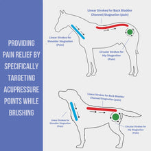 Load image into Gallery viewer, Curry On A Stik&#39; - Therapeutic Curry Comb for Horses, Dogs, and Cats
