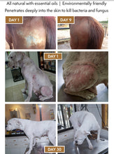 Load image into Gallery viewer, SPCA Corakko Equine & Canine Shampoo