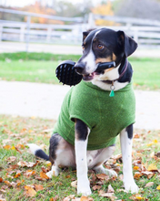 Load image into Gallery viewer, C3FE478E-9A51-40B5-899D-8BBCEA6A90E5.png__PID:9decdd25-d2f7-406c-a17a-454a13f6cea9