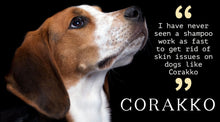 Load image into Gallery viewer, SPCA Corakko Equine &amp; Canine Shampoo
