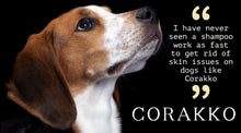 Load image into Gallery viewer, SPCA Corakko Equine & Canine Shampoo