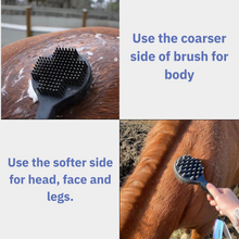 Load image into Gallery viewer, Curry On A Stik' - Therapeutic Curry Comb for Horses, Dogs, and Cats