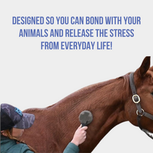 Load image into Gallery viewer, Curry On A Stik&#39; -  Therapeutic Curry Comb for Horses, Dogs, and Cats
