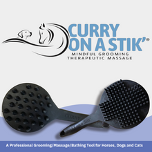 Load image into Gallery viewer, Curry On A Stik&#39; -  Therapeutic Curry Comb for Horses, Dogs, and Cats
