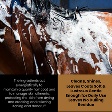 Load image into Gallery viewer, SPCA Corakko Equine &amp; Canine Shampoo
