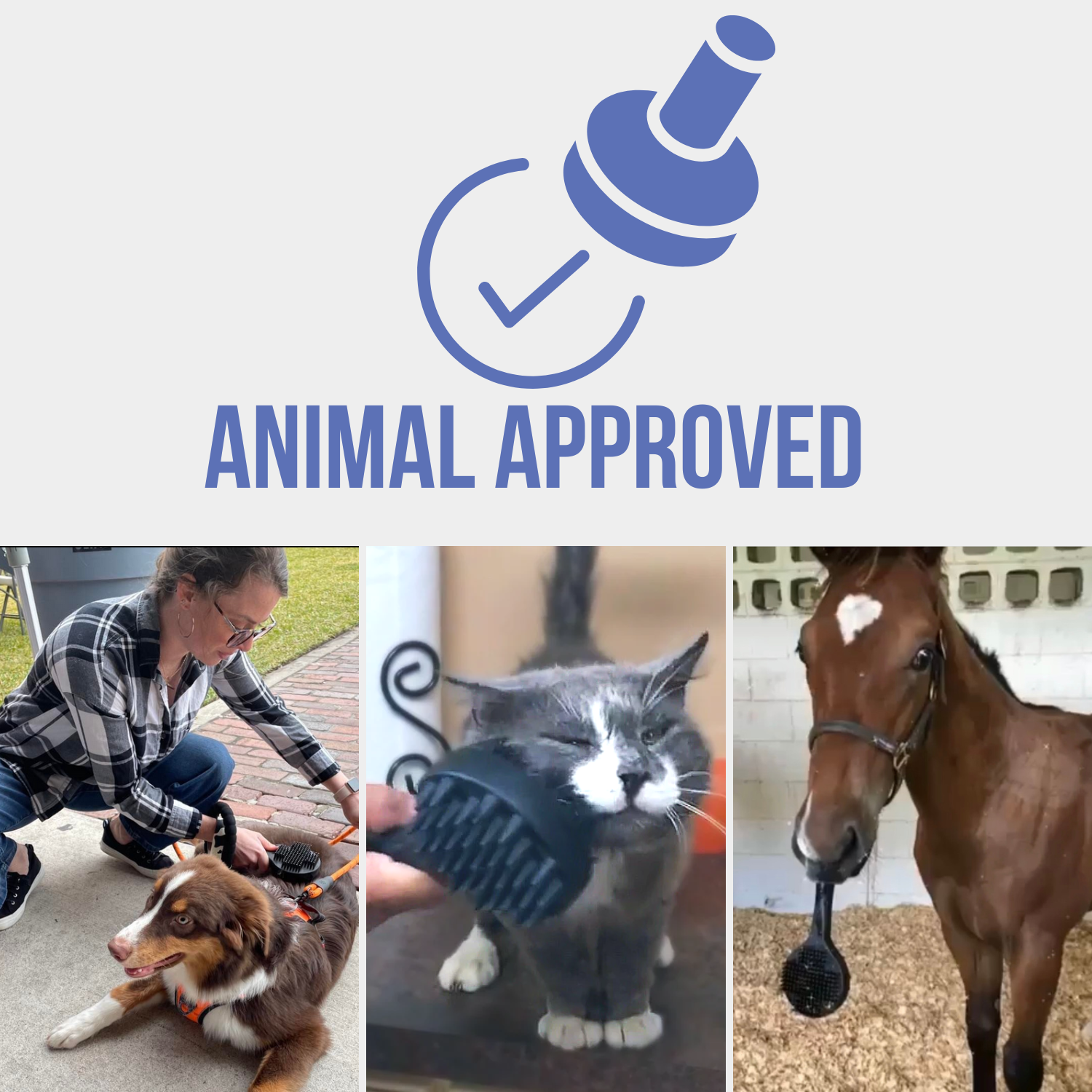 Curry On A Stik' -  Therapeutic Curry Comb for Horses, Dogs, and Cats