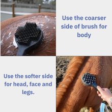 Load image into Gallery viewer, Curry On A Stik&#39; - Therapeutic Curry Comb for Horses, Dogs, and Cats
