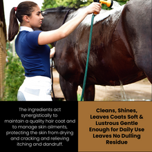 Load image into Gallery viewer, SPCA Corakko Equine &amp; Canine Shampoo
